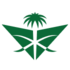 Saudia logo